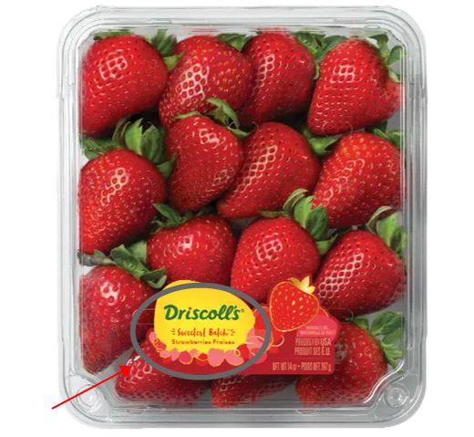 最新爆料草莓图片大全集,最新爆料草莓图片大全集惊艳呈现